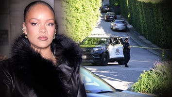 Shooting at Rihanna's LA Home: Latest Updates After Suspect Arrested